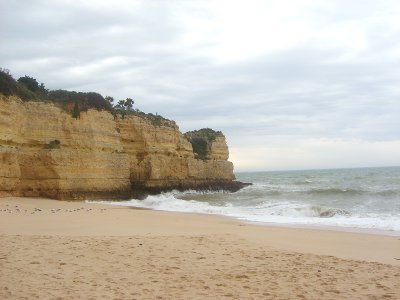 Felsenalgarve