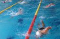 Schwimmtraining